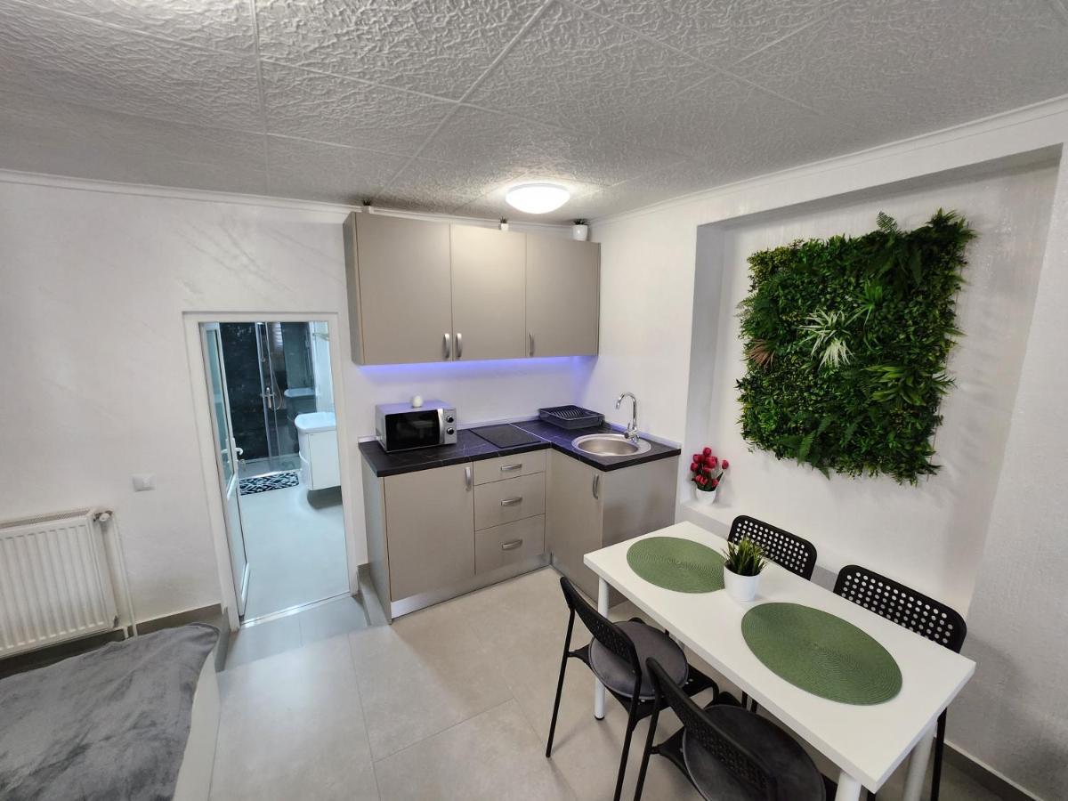סיגישוארה Apartament Dada מראה חיצוני תמונה
